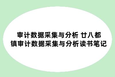 审计数据采集与分析 廿八都镇审计数据采集与分析读书笔记